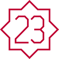 21 icon
