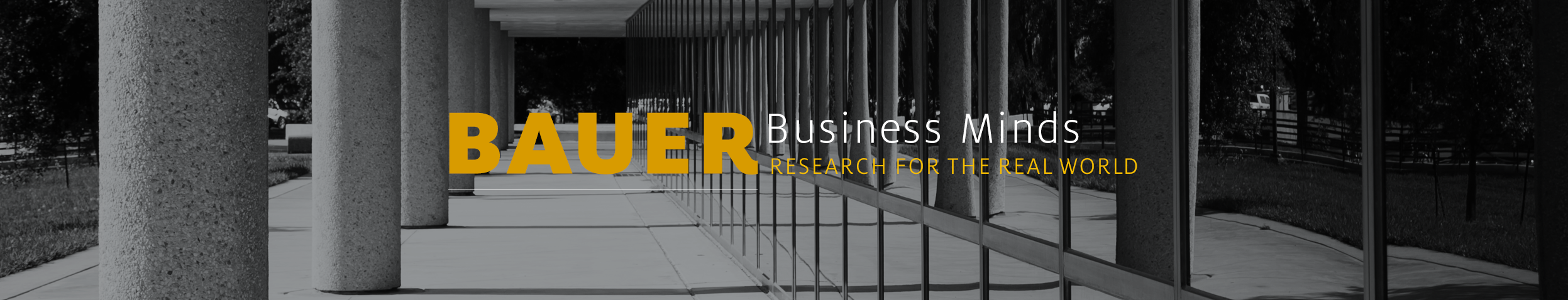 Bauer Business Minds: Research for the Real World