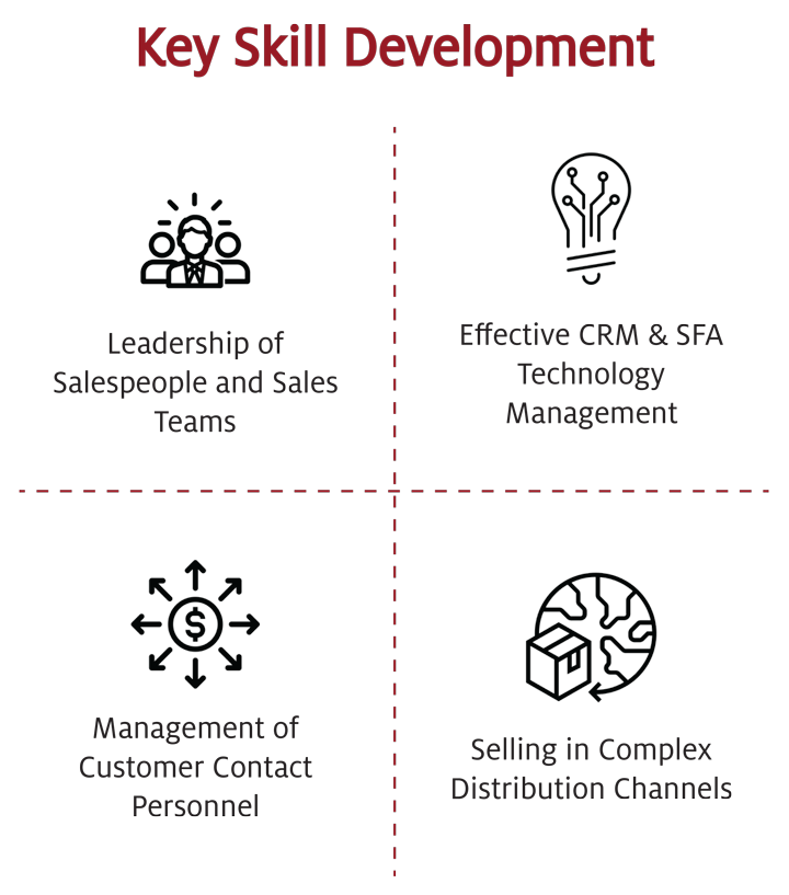 Key Skill Development includes Leadership of Salespeople and Sales Teams, Effective CRM and SFA Technology Management, Management of Customer Contact Personnel, Selling in Complex Distribution Channels