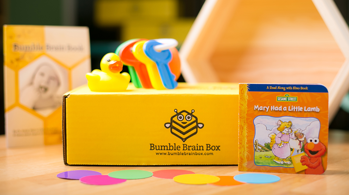 Bumble Brain Box