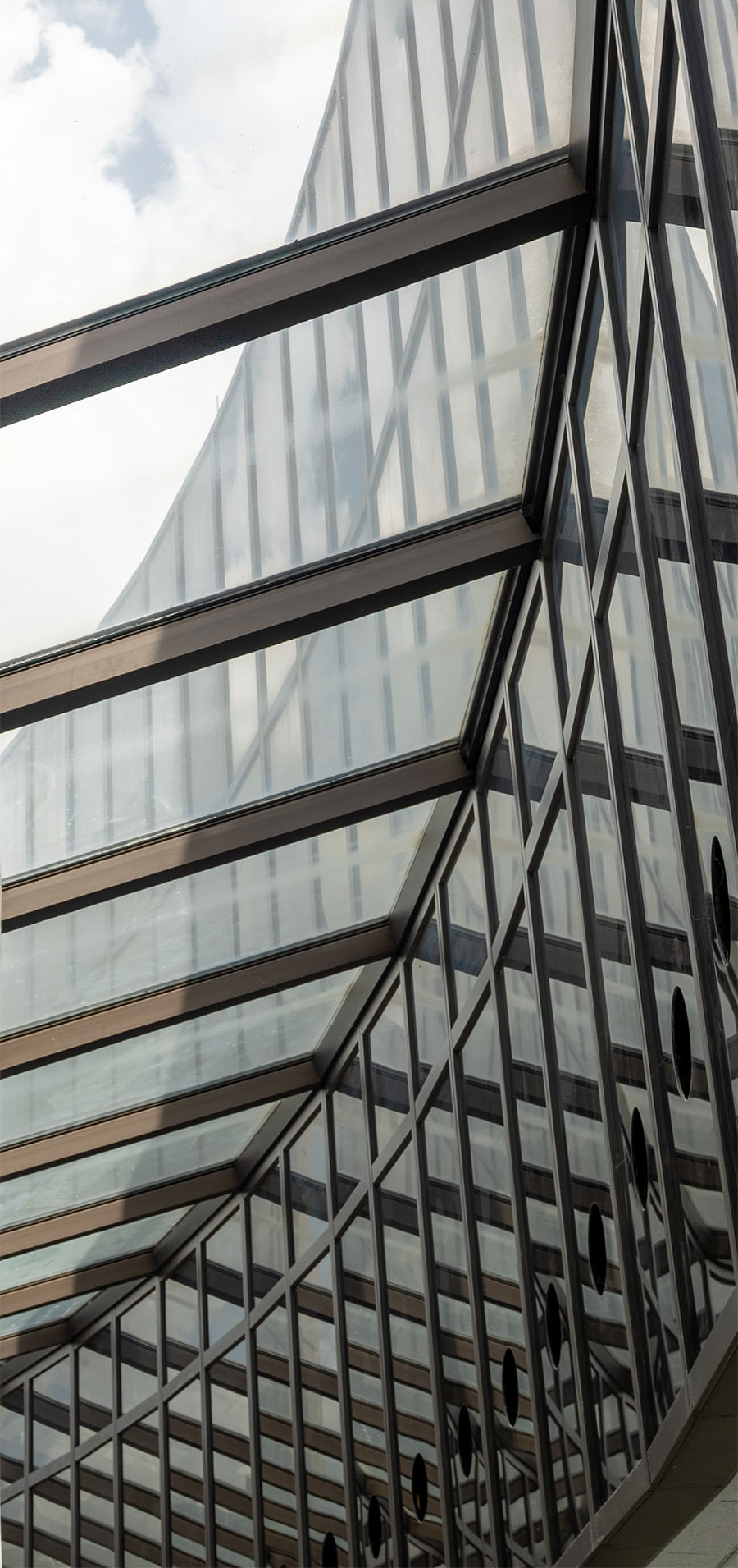 Photo: Bauer College Skylight