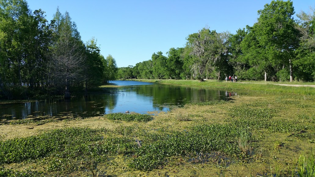 Picture of
a 2017 April UH outing