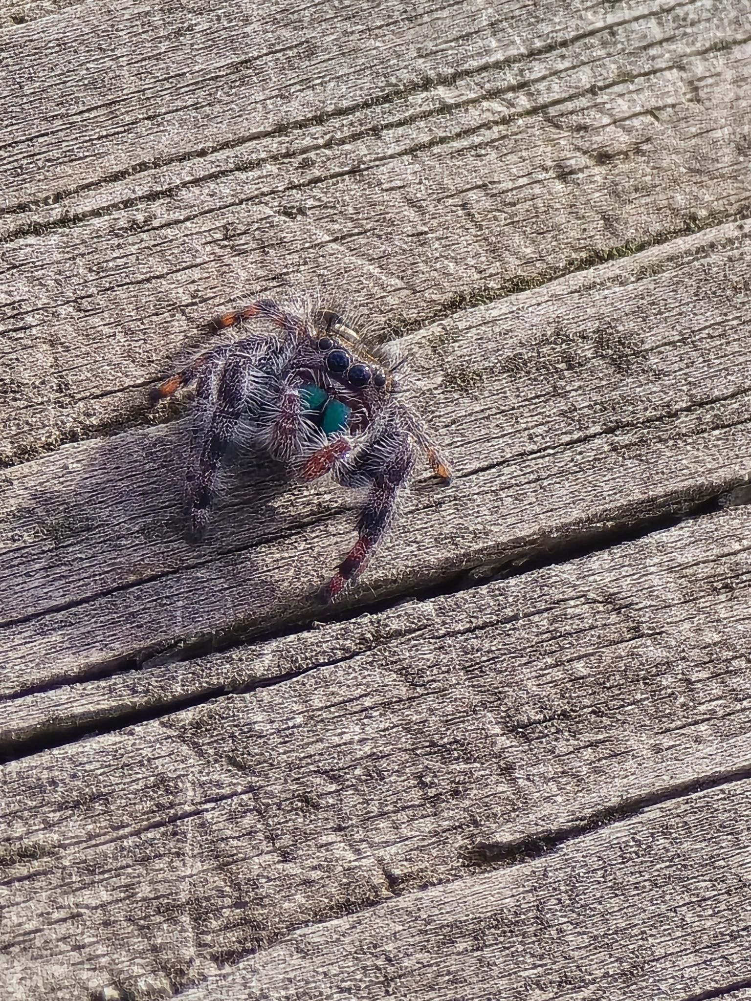 Picture of
a 2026 April UH outing