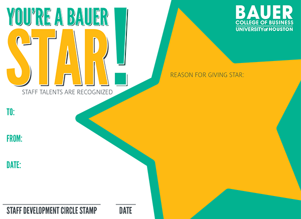 Bauer STAR 1