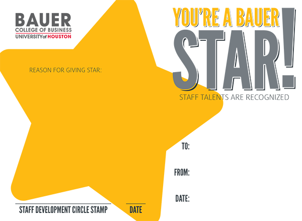 Bauer STAR 4